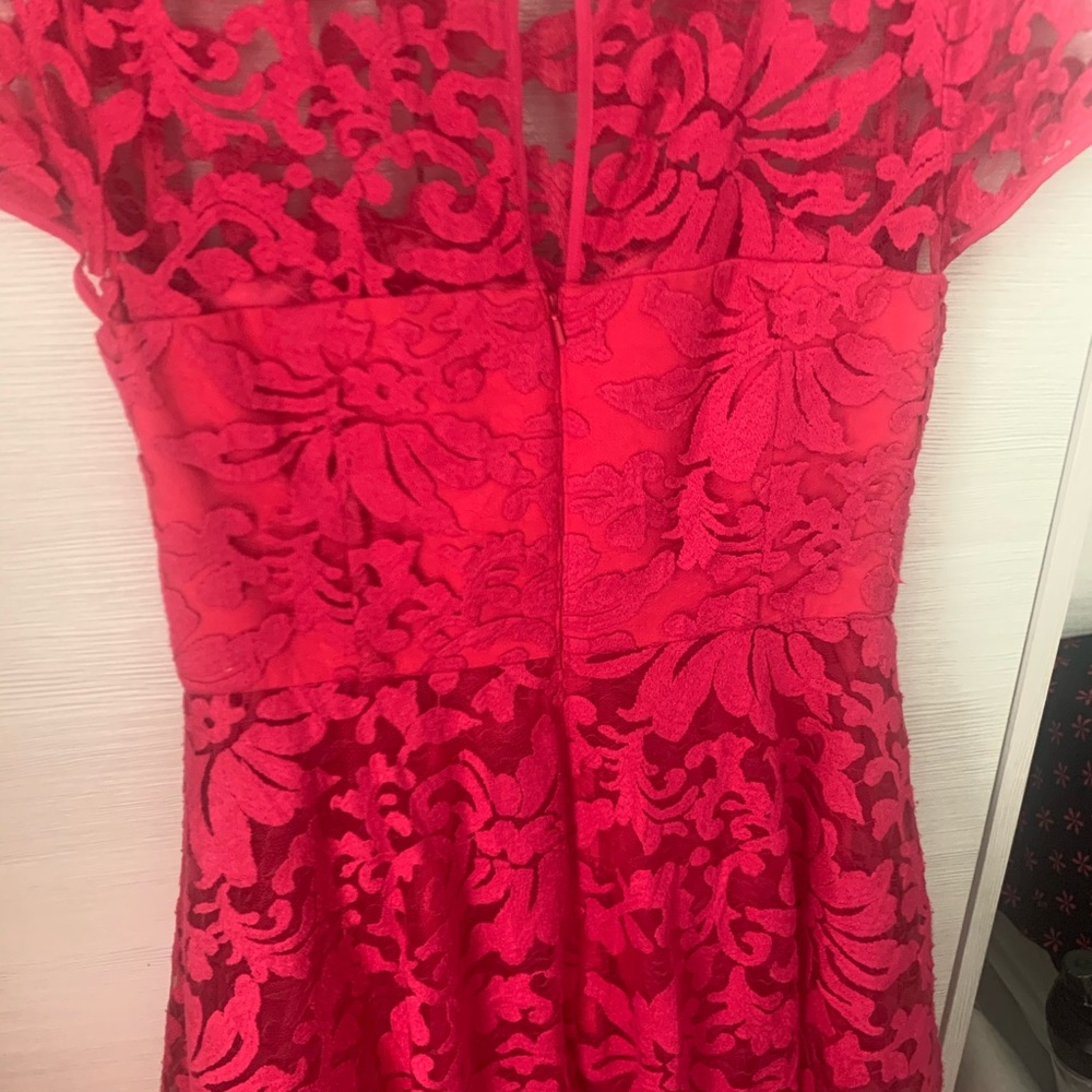 Ted baker skater lace dress